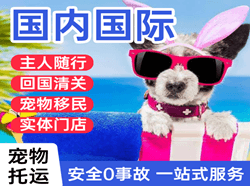 遥墙航空邮寄国际宠物托运 【国